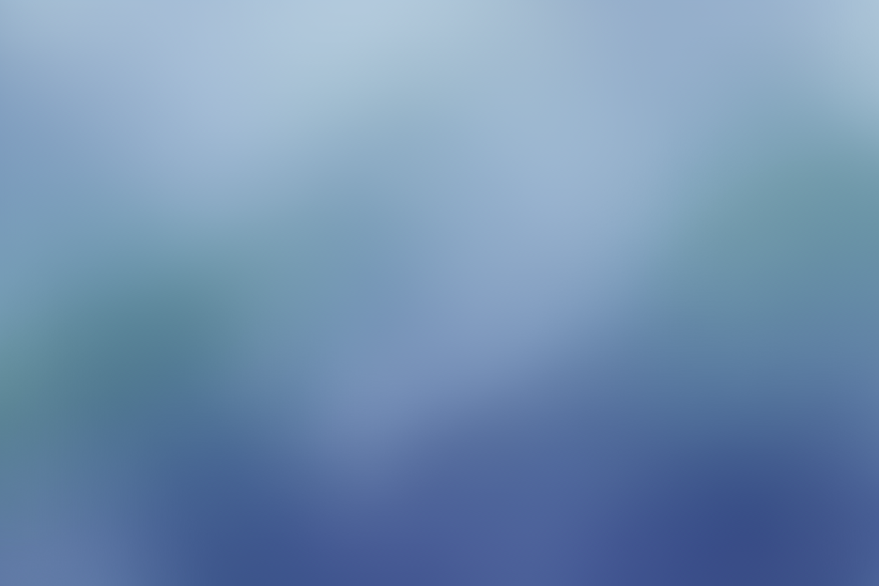 light navy blue tint